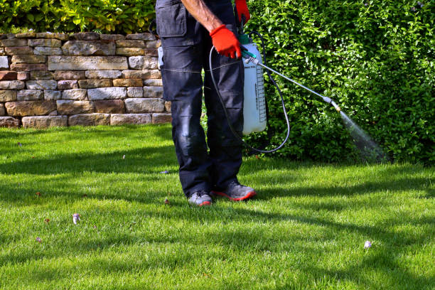 Best Lawn Pest Control  in Desoto, TX